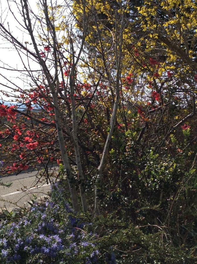 Le Coubrau Villa Orgnac-lʼAven Dış mekan fotoğraf